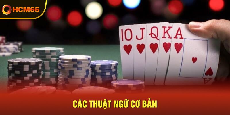 Các thuật ngữ cơ bản