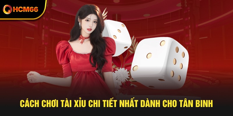 Cách chơi tài xỉu chi tiết nhất dành cho tân binh