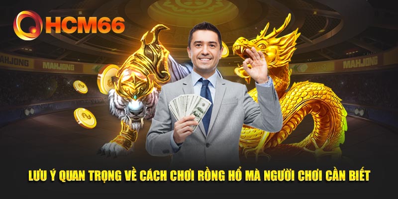 Lưu ý quan trọng về cách chơi Rồng Hổ mà người chơi cần biết